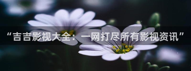 熊猫吧：“吉吉影视大全：一网打尽所有影视资讯”