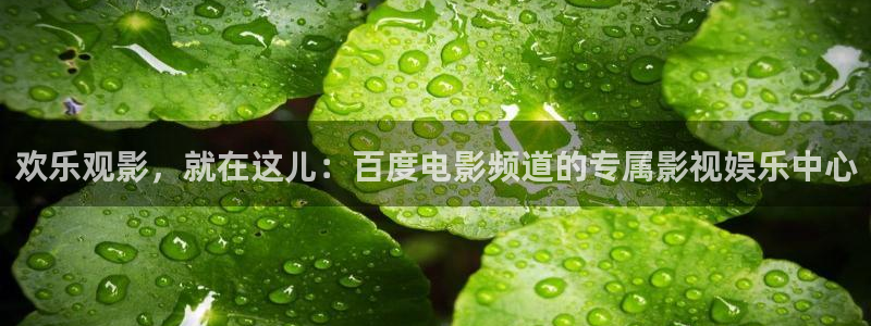 熊猫游戏：欢乐观影，就在这儿：百度电影频道的专属影视娱乐中心