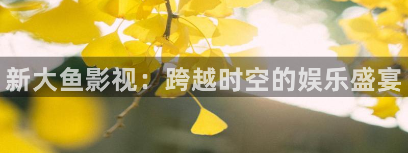 熊猫影视网在线观看：新大鱼影视：跨越时空的娱乐盛宴