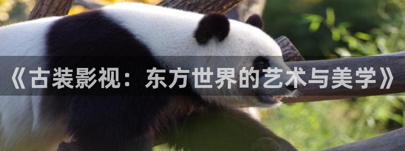 熊猫影院免费：《古装影视：东方世界的艺术与美学》
