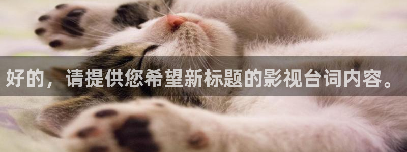 熊猫电影yy8y4免费看哪里：好的，请提供您希望新标题的影视台词内容。