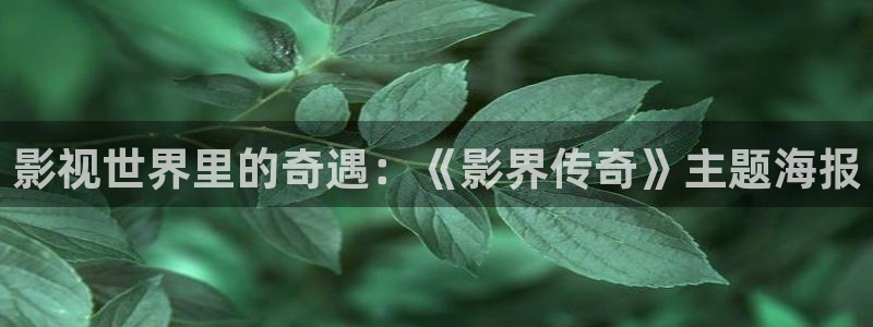 熊猫电影yy8y8全集哪里看：影视世界里的奇遇：《影界传奇》主题海报