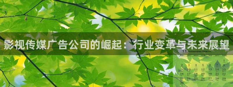 熊猫电影网站免费观看：影视传媒广告公司的崛起：行业变革与未来展望