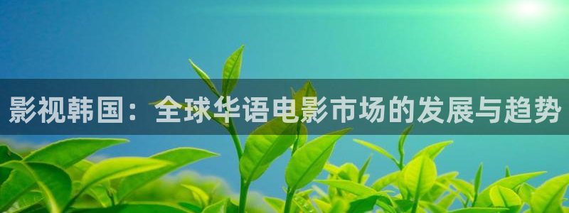 熊猫酒店图片：影视韩国：全球华语电影市场的发展与趋势