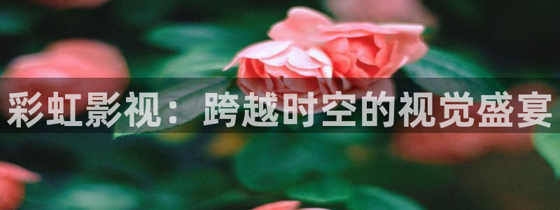 熊猫电影yy8y2：彩虹影视：跨越时空的视觉盛宴