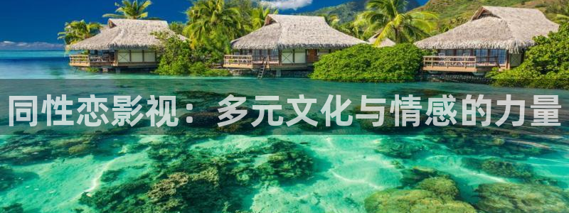 熊猫电影免费看入口：同性恋影视：多元文化与情感的力量