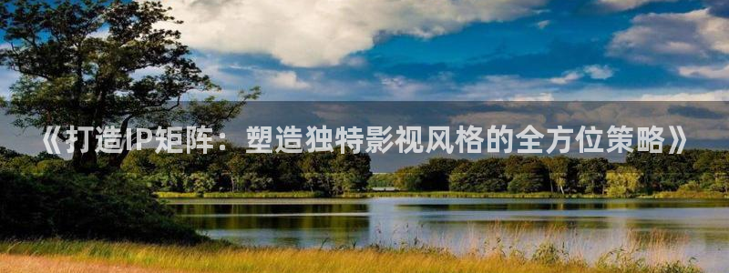 大熊猫 电影：《打造IP矩阵：塑造独特影视风格的全方位策略》